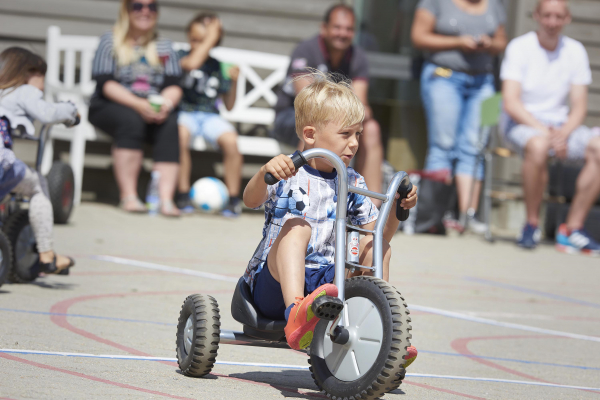 VIKING EXPLORER OFF-ROAD Easy Rider